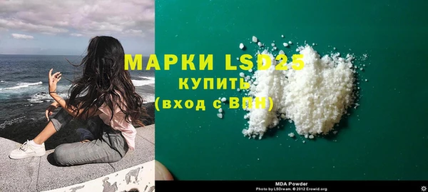 прущие грибы Бородино
