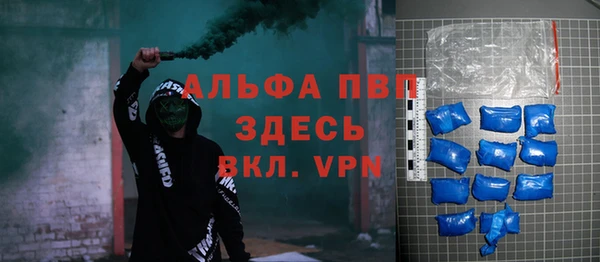 прущие грибы Бородино