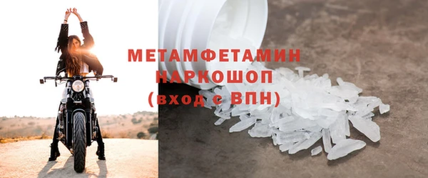прущие грибы Бородино
