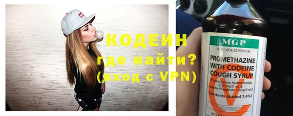 прущие грибы Бородино