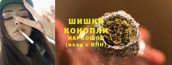 прущие грибы Бородино