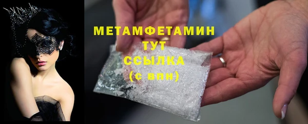 прущие грибы Бородино