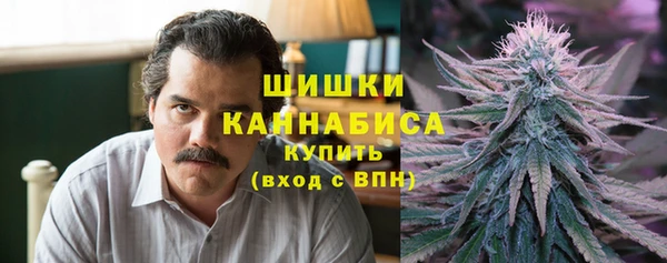 прущие грибы Бородино