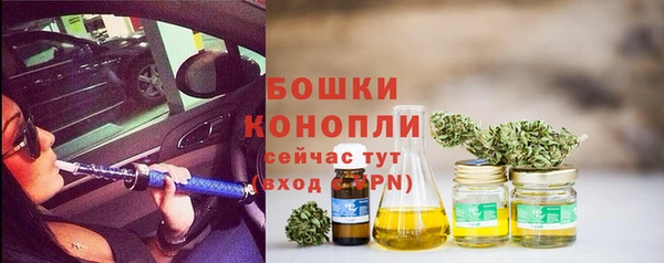 дурь Бронницы