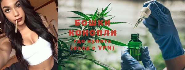 дурь Бронницы